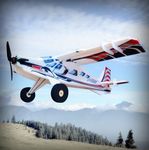 Авіамодель Crack TURBO Beaver, Світлина 1
