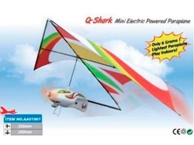 Літак (дельтаплан) електромоторний ZT Model Q-Shark 250, Світлина 1