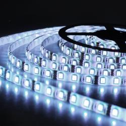 LED лента 5050, холодный белый цвет, основа белая, влагозащищенная IP65 (5см)