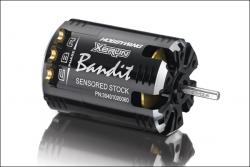Сенсорный БК двигатель HobbyWing XERUN BANDIT BLACK V10 2000KV 21.5T 1/10