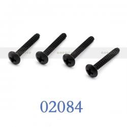 Гвинти з напівкруглими головками для автомоделей 1/10 М3x20мм.