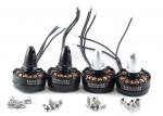 Комплект безколекторних двигунів RTS 2204 2300kv (4шт)