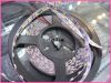 LED cтрічка 5050, холодний білий колір (5см), Світлина 2