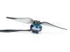 Двигун безколекторний iFlight XING2 1404-4600kv, Фото 4